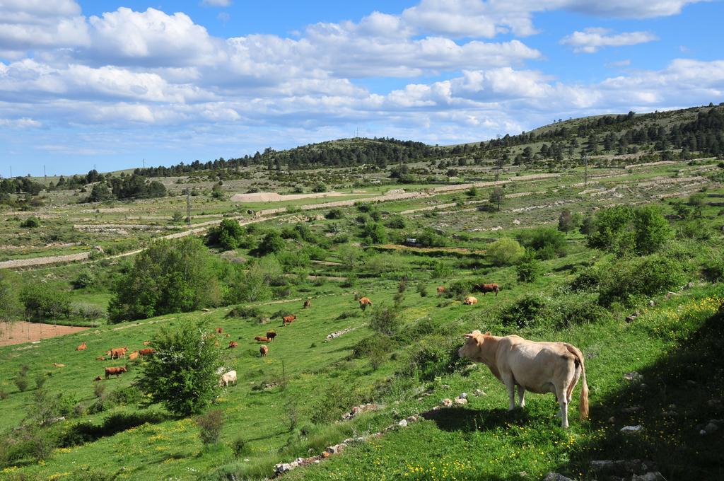 Casa Rural El Boixar - El Mirador Bojar Exteriér fotografie