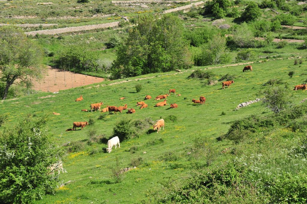 Casa Rural El Boixar - El Mirador Bojar Exteriér fotografie